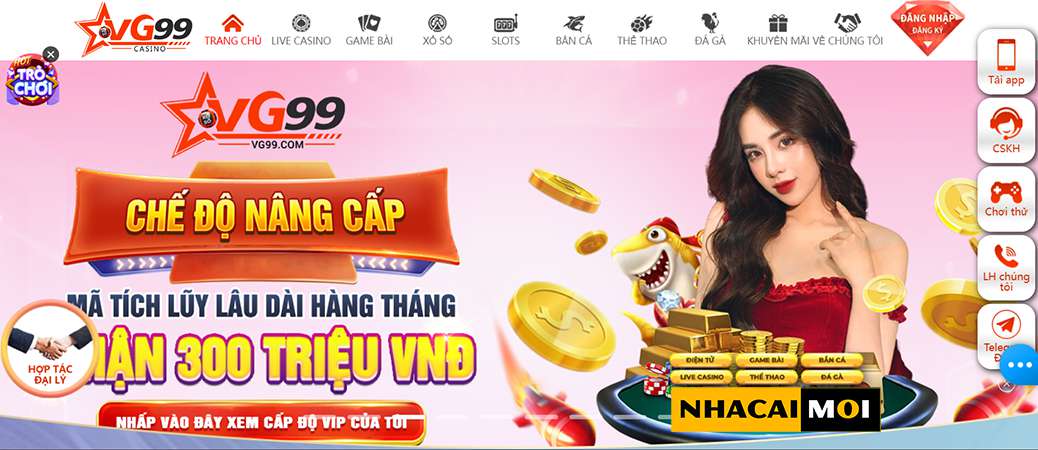 Chứng chỉ pháp lý và kinh doanh 168Vn - 168Vn