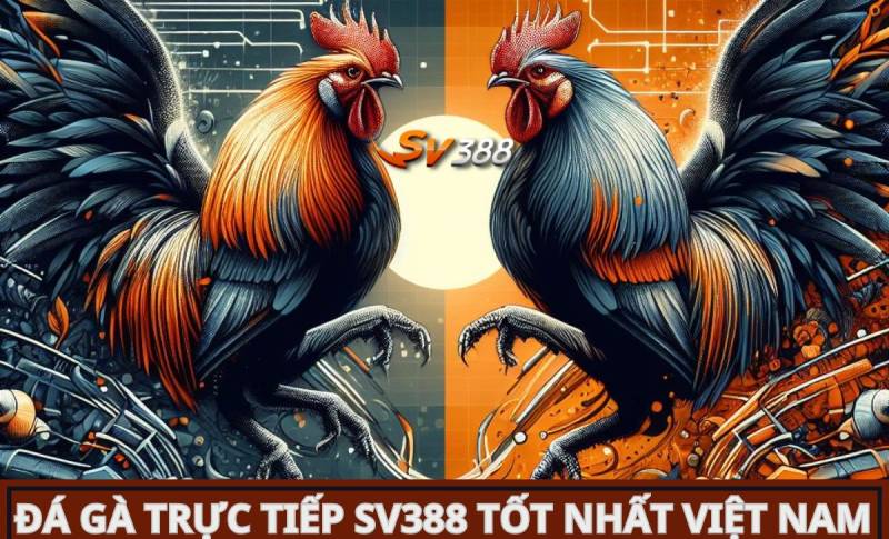 Tiền thưởng khi đến nơi hạng 88T - 88T