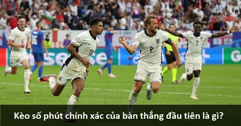 Giới thiệu trang web Stake Games – Tổng quan pháp lý - Stake
