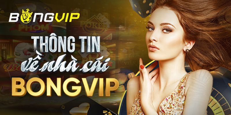 Hãy cùng xem qua một số thông tin cơ bản về trang web chơi game trực tuyến Tobet - Tobet