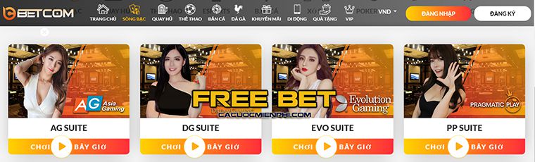 Những kho báu vừa đáng sợ vừa hấp dẫn trong các trò chơi cấp V6bet - V6bet