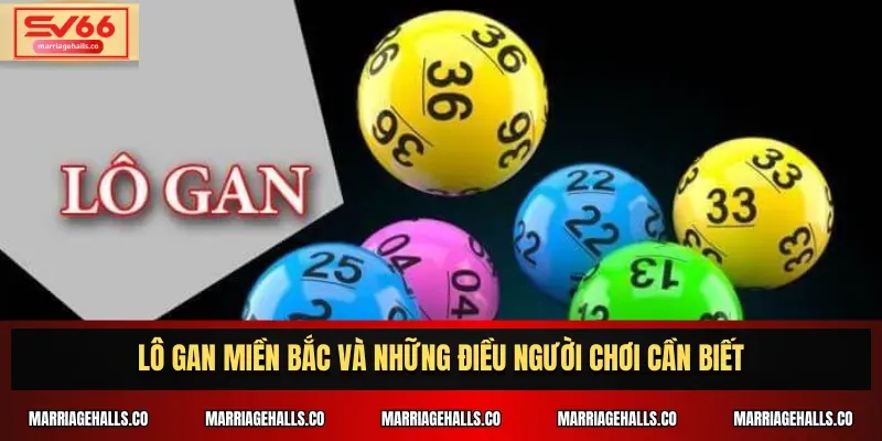 Trò chơi thẻ bài cấp độ Dt68 nào phổ biến nhất? - Dt68