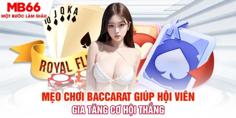 Trải nghiệm thực tế ảo trong một đấu trường đá gà đẳng cấp Eu9 - Eu9