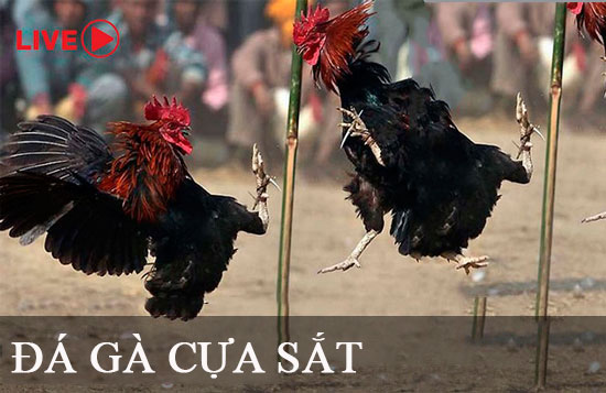 Hãy đến và trải nghiệm trò chơi bắn cá gây nghiện được xếp hạng Hay88 này! - Hay88