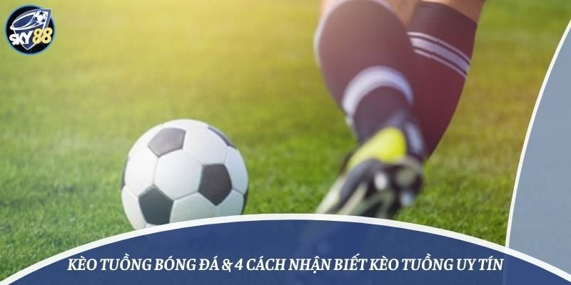 Đăng ký và tạo tài khoản thành viên bằng Hay88 - Hay88