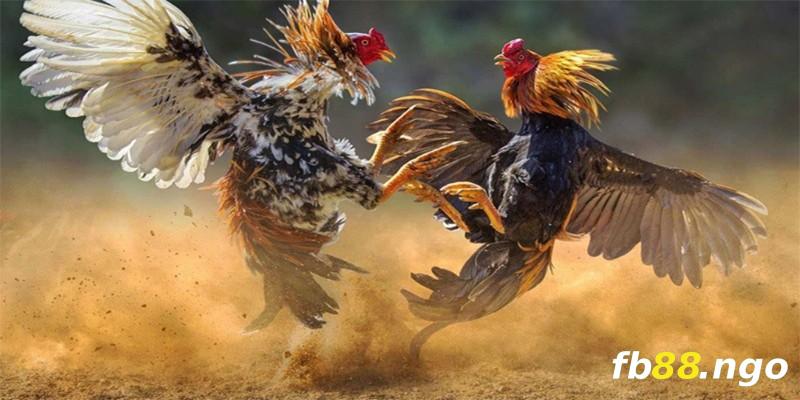 Các đại lý thuộc mạng lưới 168Vn kiếm tiền thông qua chương trình phân phối - 168Vn