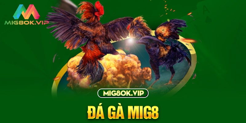 Cửa hàng game nổi tiếng được xếp hạng P3bet - P3bet
