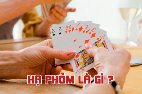 Chiến dịch quảng bá Av88 đã chính thức được khởi động - Av88
