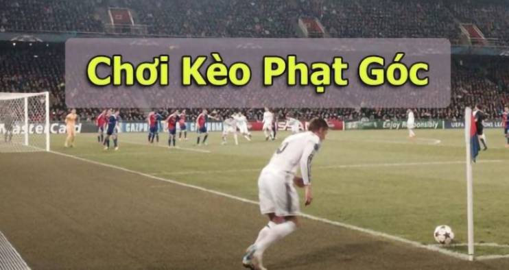 Những ưu điểm chính của Gowin - Gowin