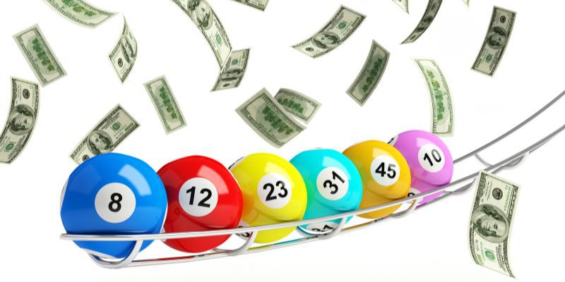 Gà chọi cấp Sbet68 có những ưu điểm gì thu hút người chơi? - Sbet68