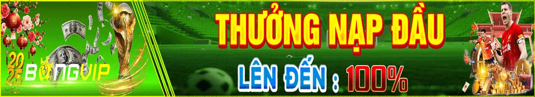 1Xbit đang đặt rất nhiều kỳ vọng vào World Cup 2026 - 1Xbit