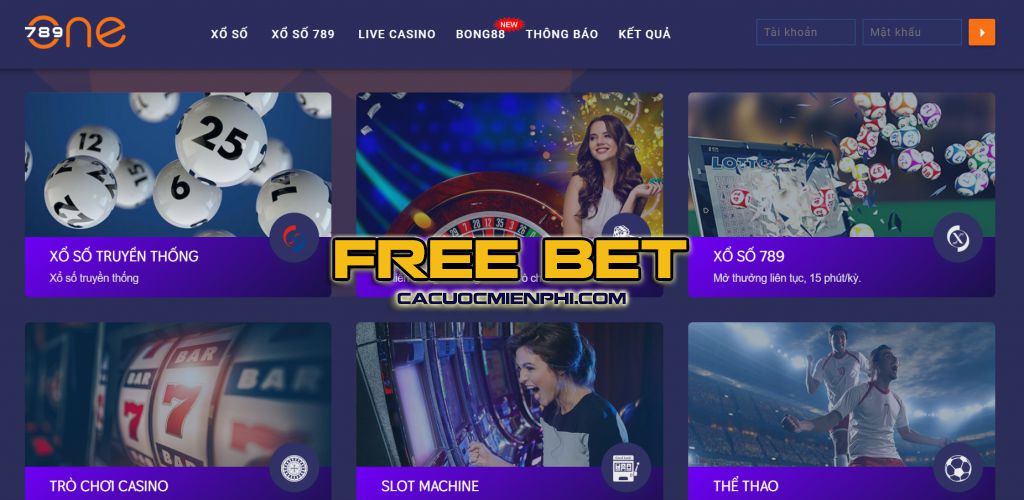79Win cung cấp nhiều lựa chọn cá cược bóng chuyền khác nhau - 79Win