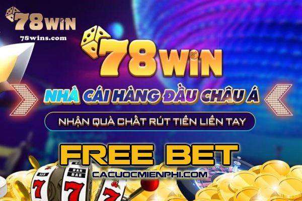 Tổng quan về các trang web trận đấu bóng đá cấp độ 777King - 777King