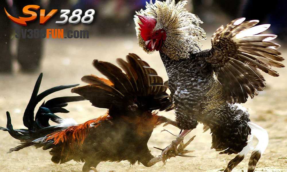 Những điều cần lưu ý khi gửi hoặc rút tiền tại Ngân hàng Hay88 - Hay88