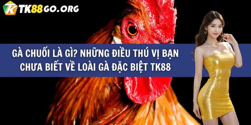 Ưu điểm của hệ thống Qh888 - Qh888