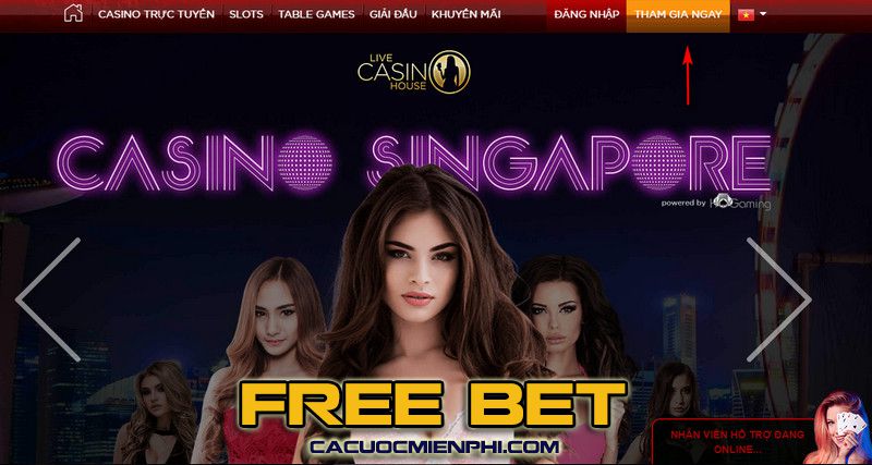 Liệu việc đặt cược vào các trận bóng đá trên một trang web cá cược trực tuyến được xếp hạng 85Win có phải là một quyết định khôn ngoan? - 85Win